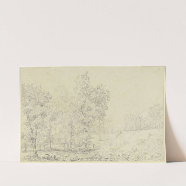 Tree landscape by Peter Burnitz