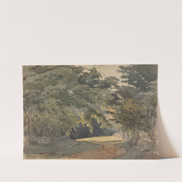 Tree-lined Lane by Thomas Sully