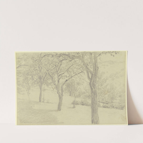 Tree meadow by Jacob Happ