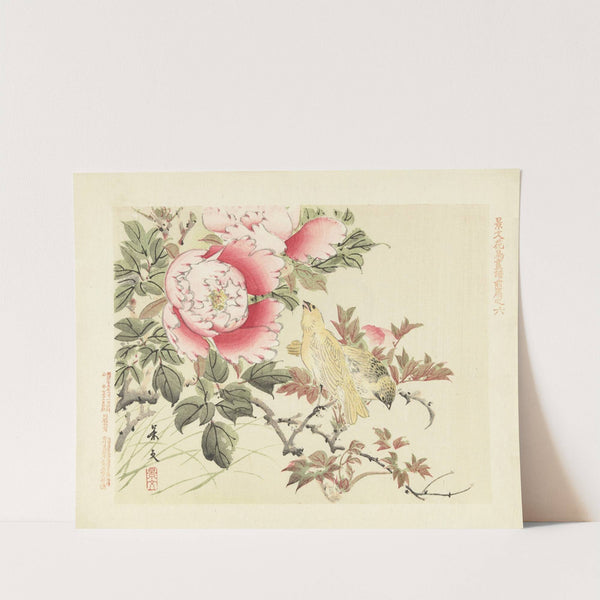 Tree peony and canary (1892) by Matsumura Keibun