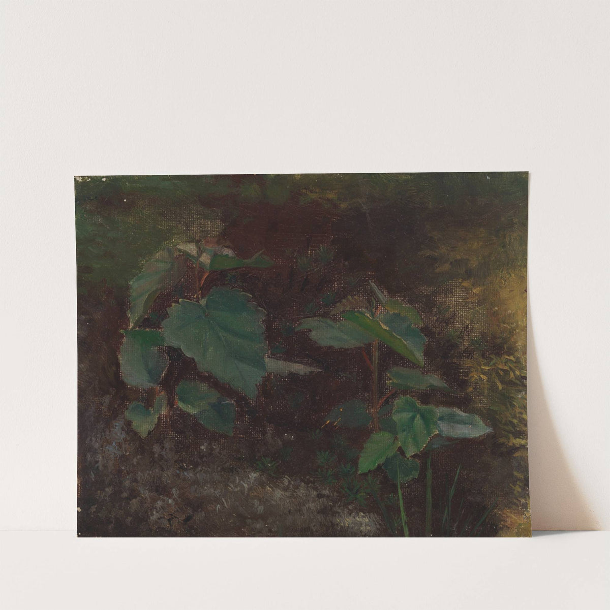 Tree Plants, sketch for the painting Fairy Tale Princess by Torsten Wasastjerna