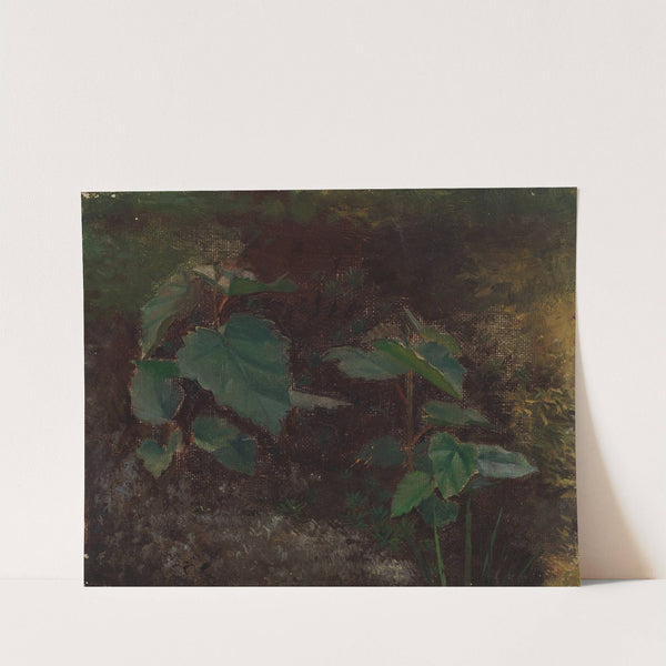 Tree Plants, sketch for the painting Fairy Tale Princess by Torsten Wasastjerna