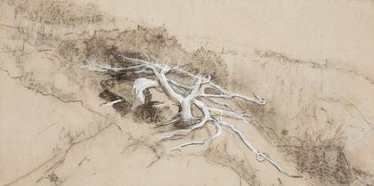 Tree Roots on a Hillside, Prout’s Neck (1884)