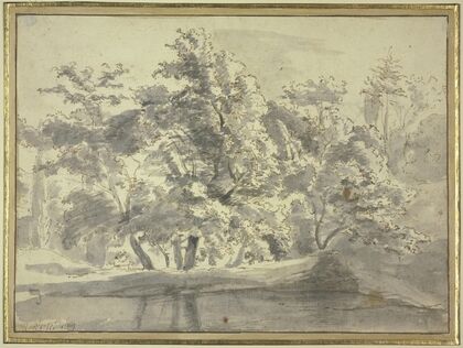 Tree section by the water
