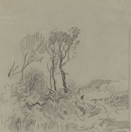 Tree Studies
