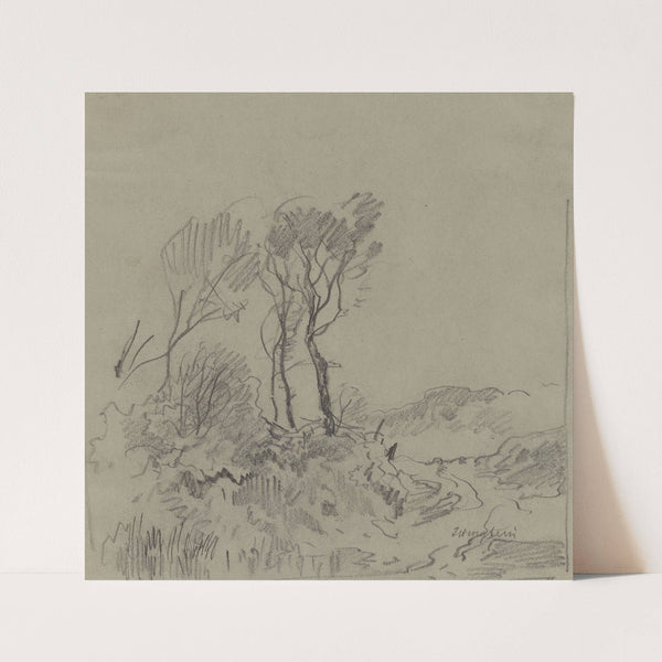 Tree Studies by Josef Wenglein