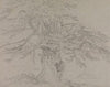 Tree Study