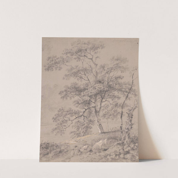 Tree Study by George Barret