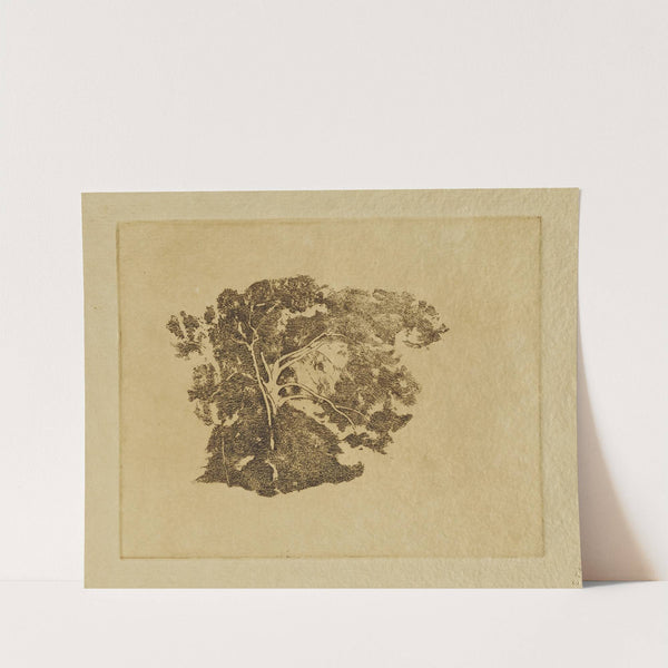 Tree Study by Emil Carlsen