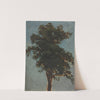 Tree Study (c. 1830–64) by Alexandre Calame