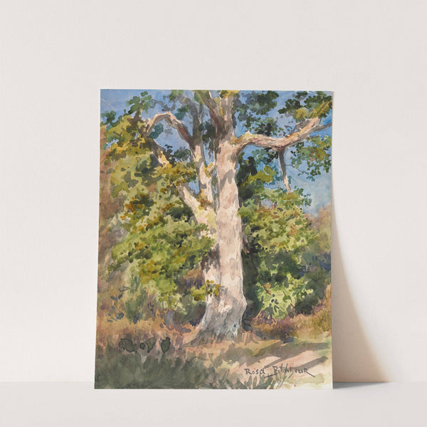 Tree Study by Rosa Bonheur