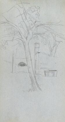 Tree Study (1860s)