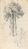 Tree Study (1814)