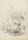 Tree Study
