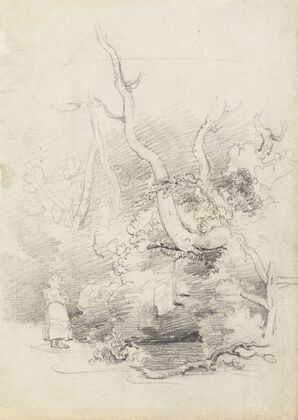 Tree Study