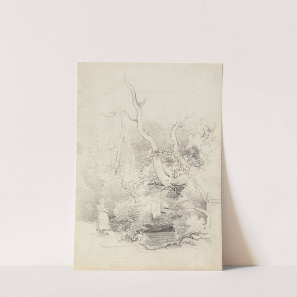 Tree Study by Cornelius Varley