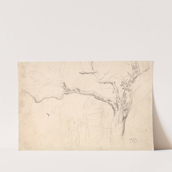 Tree Study by James Ward