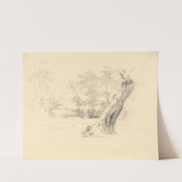 Tree Study by Robert Hills