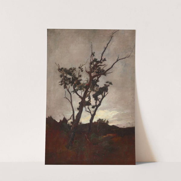 Tree study by Petrus van der Velden