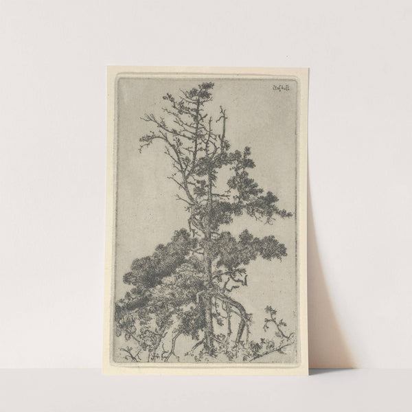 Tree Top (1900-1925) by Ernest Haskell