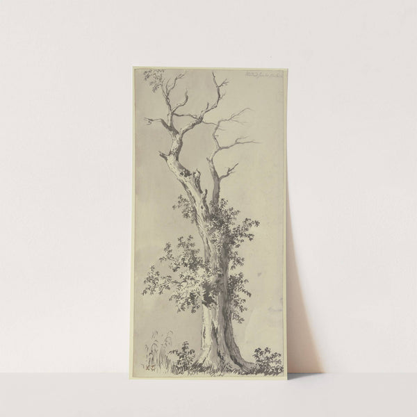 Tree with leafless treetop by Jean-Jacques de Boissieu