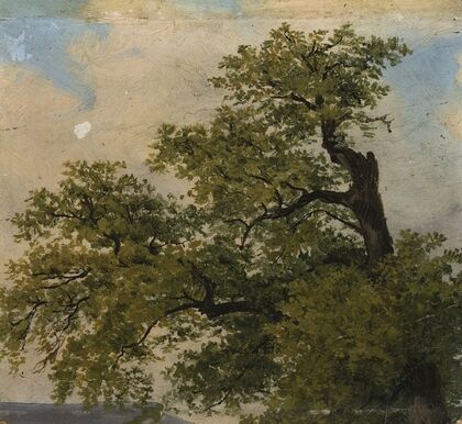 Trees
