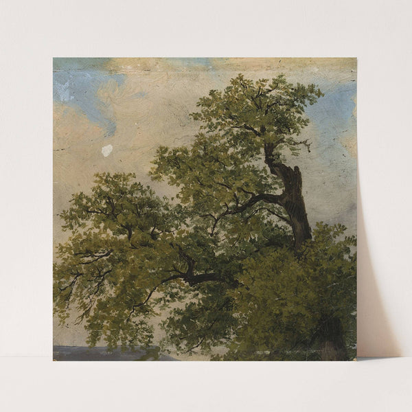 Trees by Julius Schoppe