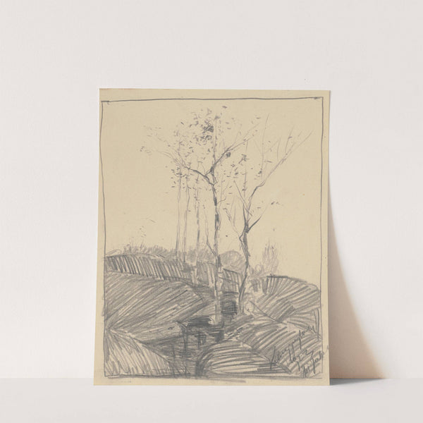 Trees by Zolo Palugyay