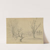 Trees by Alfred Rudolph Waud