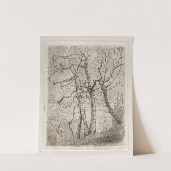 Trees (1878) by Otto Henry Bacher