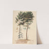 Trees (1700s) by Jean-Baptiste Pillement