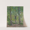 Trees by Vincent van Gogh