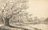Trees Alongside a River with Buildings in the Distance