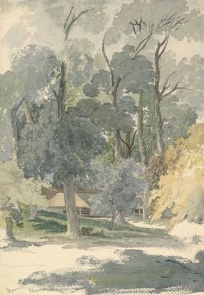Trees and Barns in Ashstead Park, Surrey