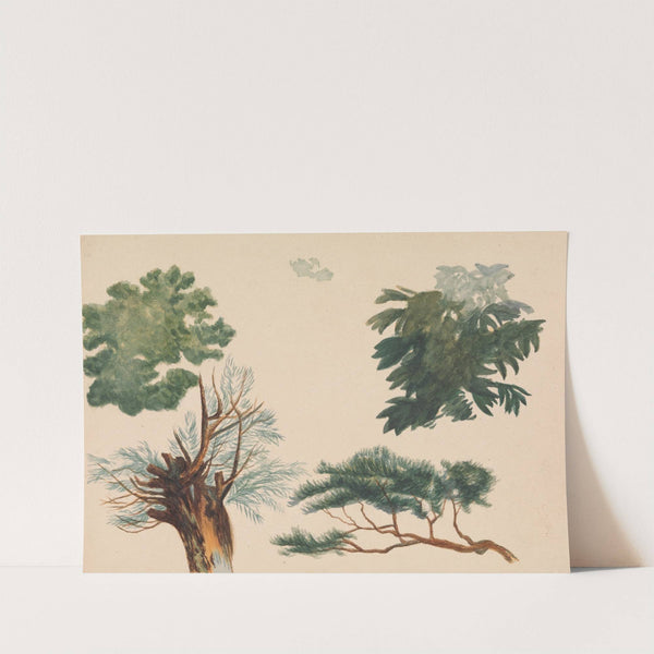 Trees and Foliage by Richard Pettigrew Leitch