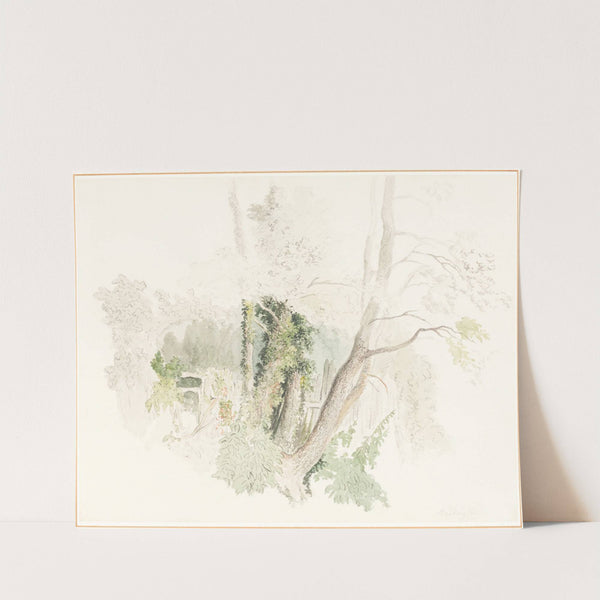 Trees at Beddington by Robert Hills