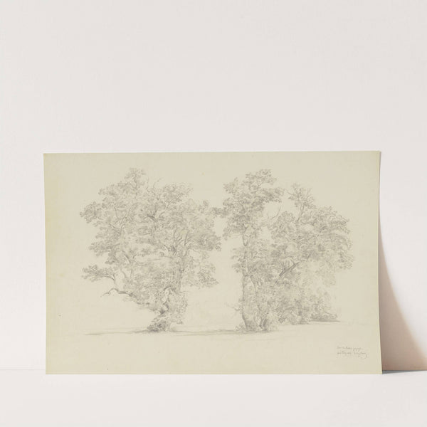 Trees at the Ammer by Ludwig Metz