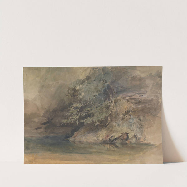 Trees by a Pool by John Absolon