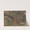 Trees in a Landscape by Charles Reginald Aston