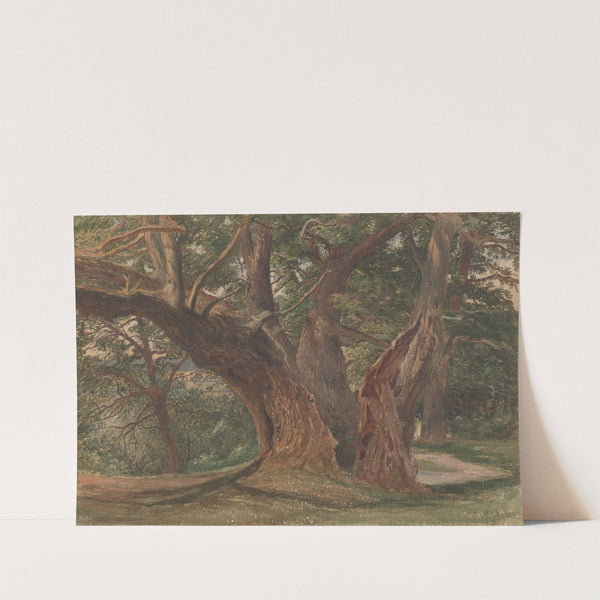 Trees in a Landscape by Charles Reginald Aston