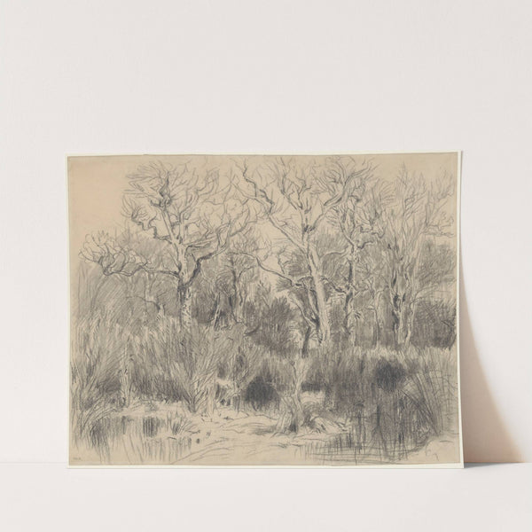 Trees in a Thicket by Théodore Rousseau