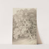 Trees in a Wood (1807) by John White Abbott