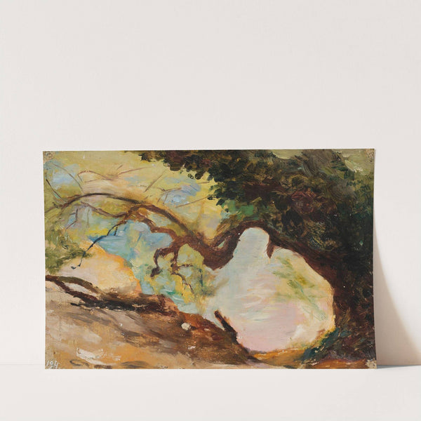 Trees in Alupka. From the journey to Crimea by Jan Ciągliński