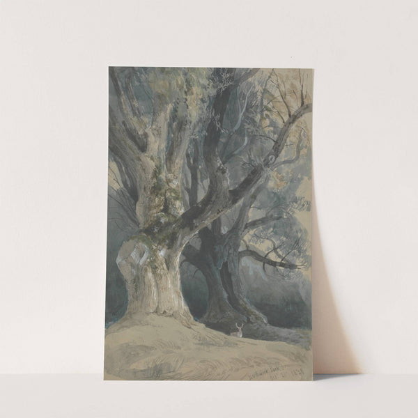 Trees in Northwick Park (1830) by David Roberts