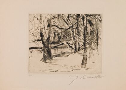 Trees in the Sun