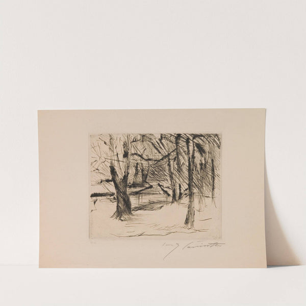 Trees in the Sun (1920–21) by Lovis Corinth