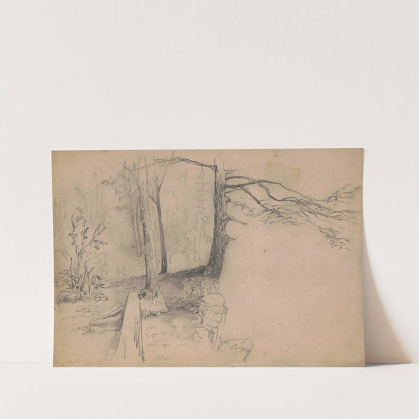 Trees near a precipice (1850) by James Fuller Queen