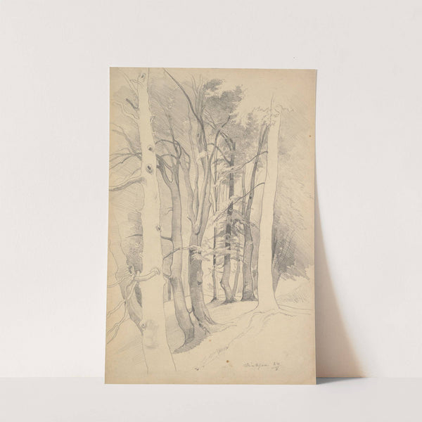 Trees near Diessen by Carl Hummel