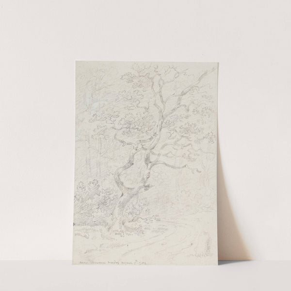 Trees, Near Lausanne by George Howland Beaumont