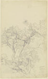 Trees near Olevano